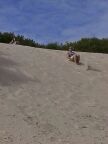 Sand Dune.JPG (36 KB)
